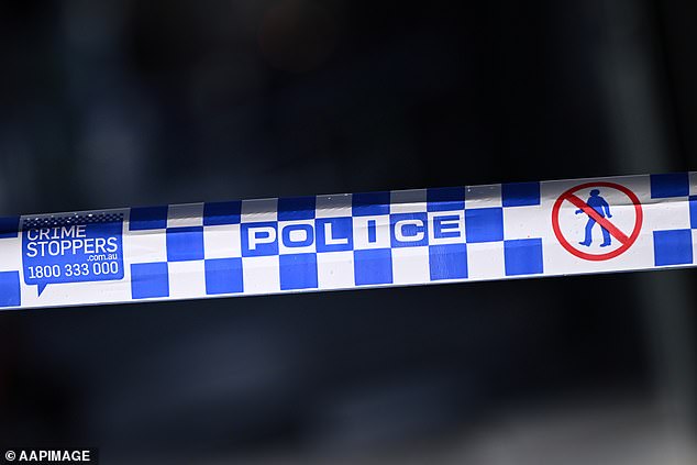 A 36-year-old man has been arrested after a 10-hour standoff with police who allege he took a woman and child hostage at a Sydney apartment complex (stock image)