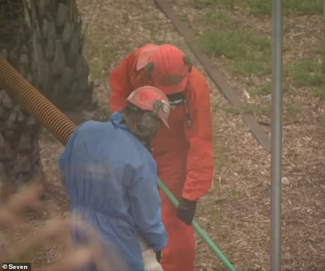 Workers in protective gear were seen inspecting the park (pictured) for the hazardous substance