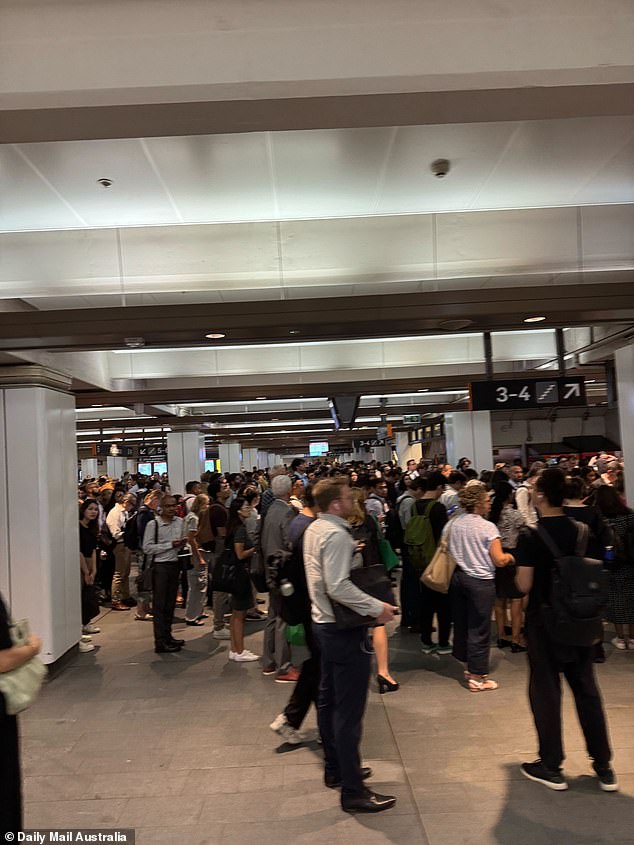 Commuters faced lengthy delays after a number of trains were canceled following a fatal accident at Macdonaldtown Station on Wednesday afternoon (pictured)