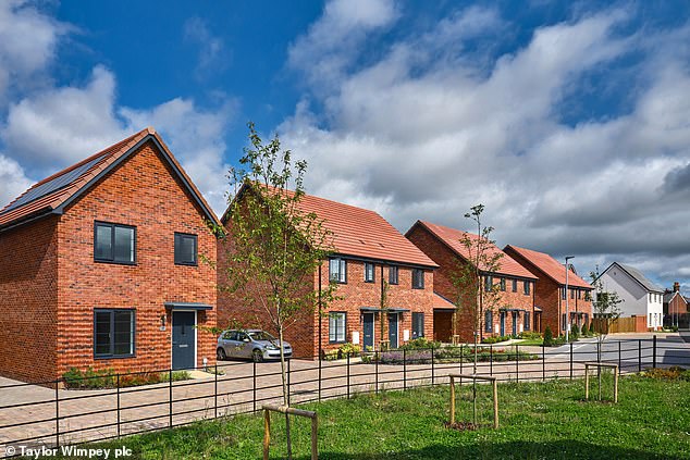 Profitability: Taylor Wimpey's revenues almost halved last year due to rising construction costs and a significant drop in new home deliveries