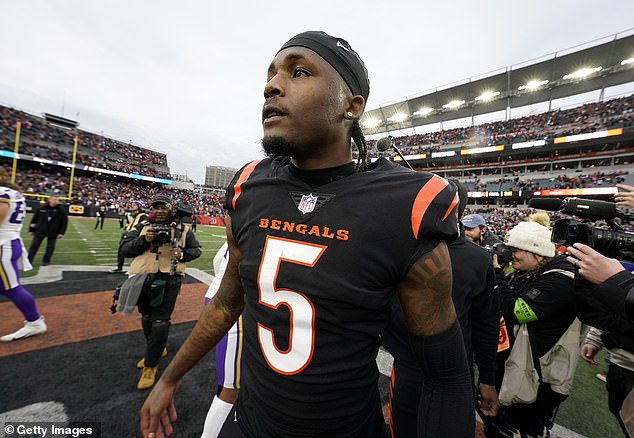 Tee Higgins returns to Cincinnati in 2024 as the Bengals use their $21.8 million franchise tag