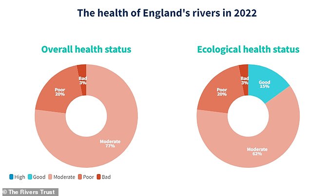 All English rivers are failing in terms of chemical health and only 15 per cent are in good ecological status, the report warns.