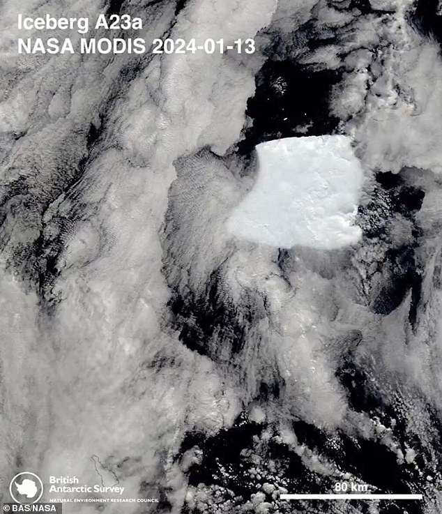 The world's largest iceberg, named A23a, has completed a pirouette on its journey towards the Southern Ocean