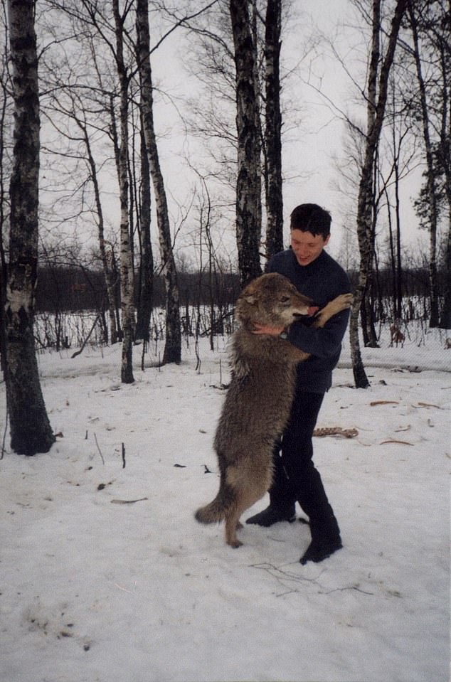 Nature thrives in the shadow of the Chernobyl factory