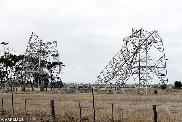 The wild weather has downed power lines and knocked out power to more than 500,000 homes across the state.  It could take weeks to repair (photo: fallen power lines)