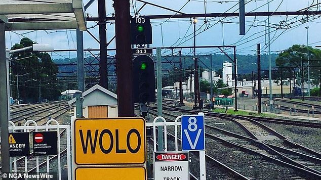 The yellow WOLO signs are deployed during extreme heat for trains in Sydney