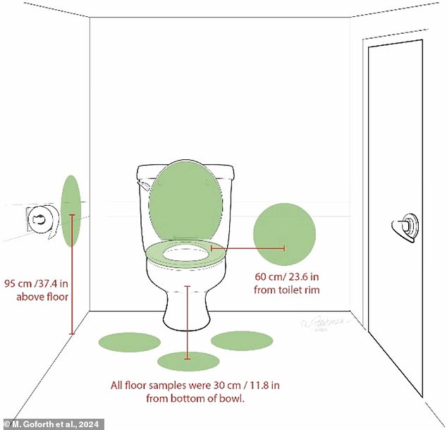 Researchers seeded a toilet with MS2 bacteria, a model for E. Coli, and took samples from the areas around the toilet one minute after flushing