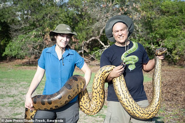 If you're not a fan of snakes, look away now.  The world's largest snake has been discovered in the Amazon rainforest - and at 8.5 meters long and weighing 200 kilos, it's an absolute stunner