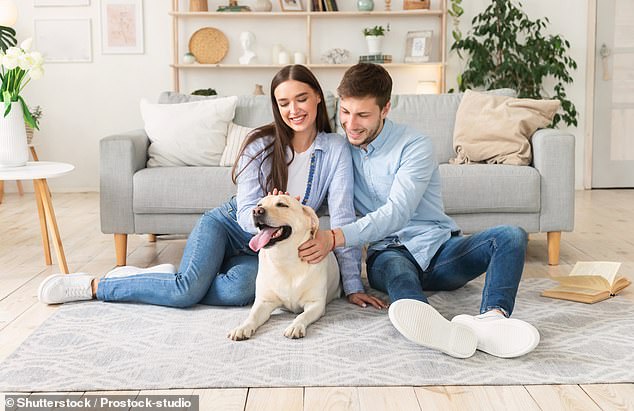 New research has found that as many as half of British singles would walk away from a date if their pet turned its nose up at them (stock image)