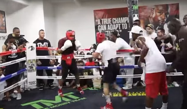 To ramp up the mind games with his rival, Garcia shared a clip of Haney (white gloves) being dominated in sparring by Davis (black gloves) while Floyd Mayweather (white cap) is refereeing