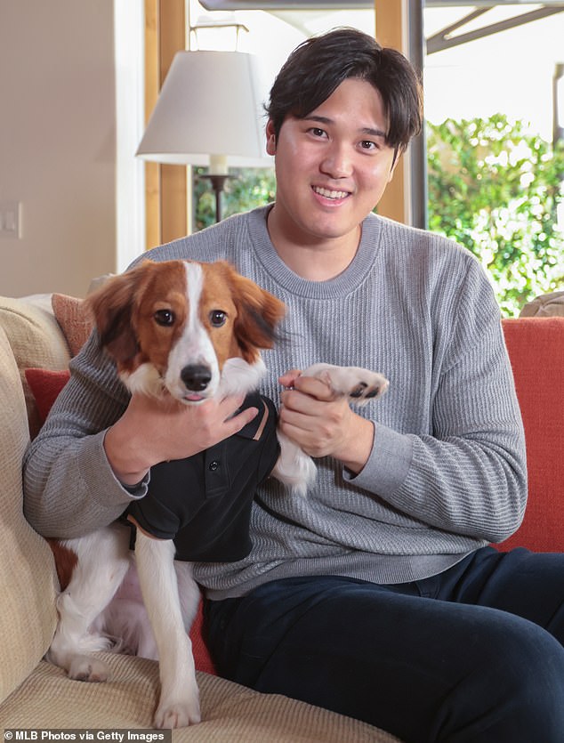 Ohtani even hesitated to reveal his dog's name last year when he won the AL MVP