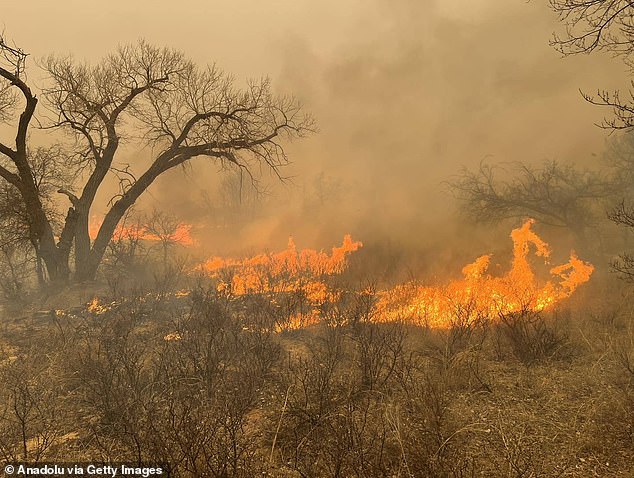 The Smokehouse Creek Fire has scorched 1,075,000 acres and is 3 percent contained, making it the largest recorded wildfire in the Lone Star State