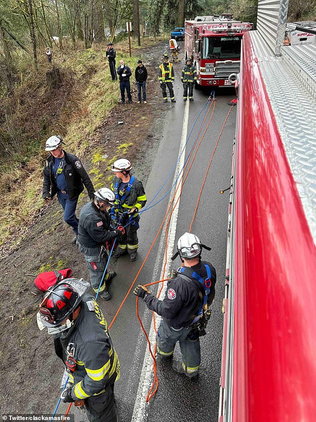 A rescue effort was launched to remove the driver from the wreckage, who was miraculously unhurt