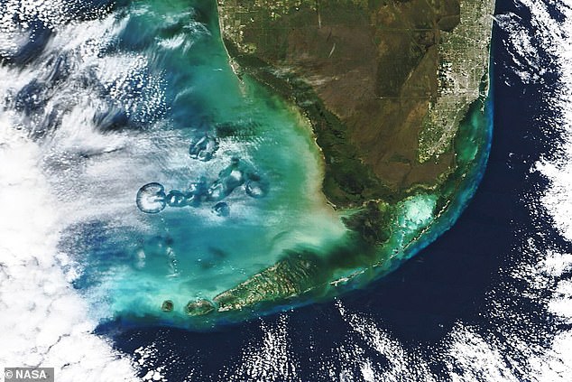 A bizarre array of clouds north of the Florida Keys resembles a giant floating jellyfish.  These 'Cavum clouds' (above), captured in January by NASA's Terra satellite, are 