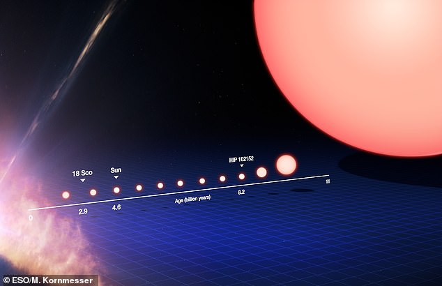 This diagram traces the life of a Sun-like star from its birth through its evolution into a red giant.  On the left, the star starts as a dust cloud and progresses through the main sequence stages until it becomes a red giant on the right