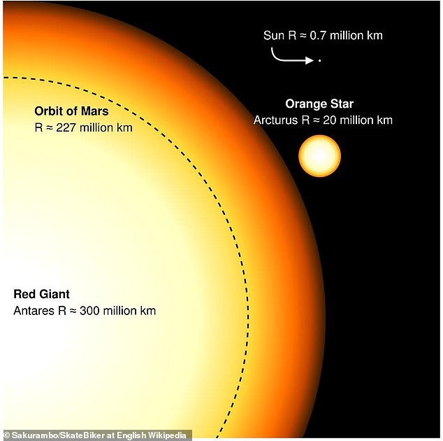 It's difficult to estimate how big the Sun will become, but at its high end it could reach a diameter of up to 300 million kilometers, which is the same size as the red giant Antares (pictured)