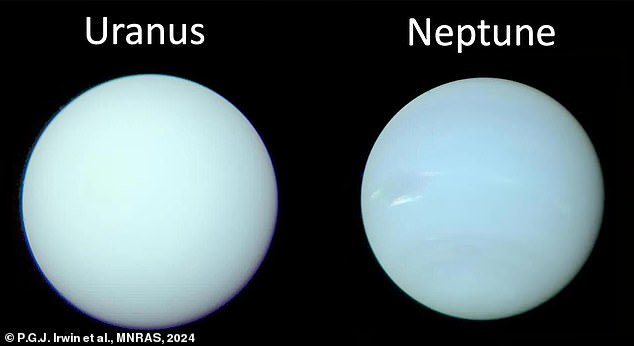 If the Sun loses more than 50 percent of its mass when it becomes a planetary nebula, the force will throw Uranus and Neptune (pictured) into space