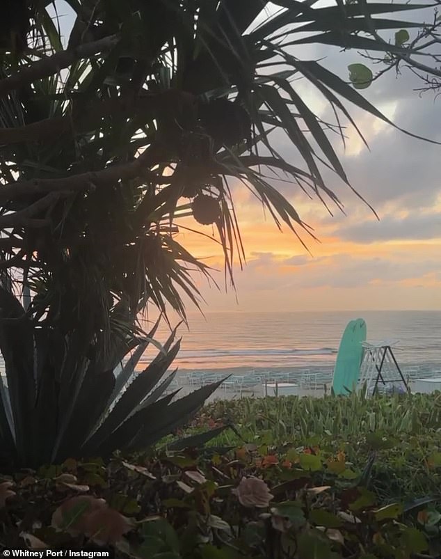 This simple still video was shot behind some beautiful plants and greenery all the way to the ocean was the second element used in her post