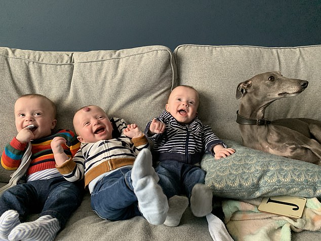 L-R: Jerry, Rafa and Frankie pictured with a dog.  The triplets were born at 33 weeks, which meant they were rushed to the NICU, where Frankie and Rafa stayed for four weeks.  Jerry had to stay an extra week