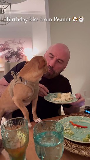 While he was enjoying a piece of cake, his dog sat on his lap and licked his face