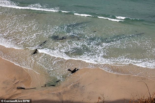 But on February 26, stormy seas battered Cornwall's north coast, stripping sand from the beach, revealing the remains of the shipwreck.