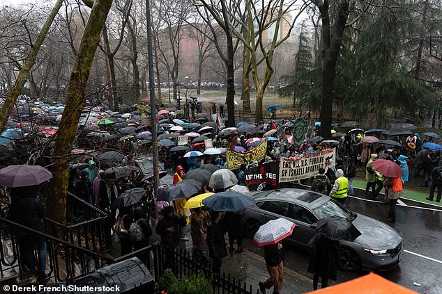 Huge crowds gathered in the park despite the rain New Yorkers endured all day Saturday