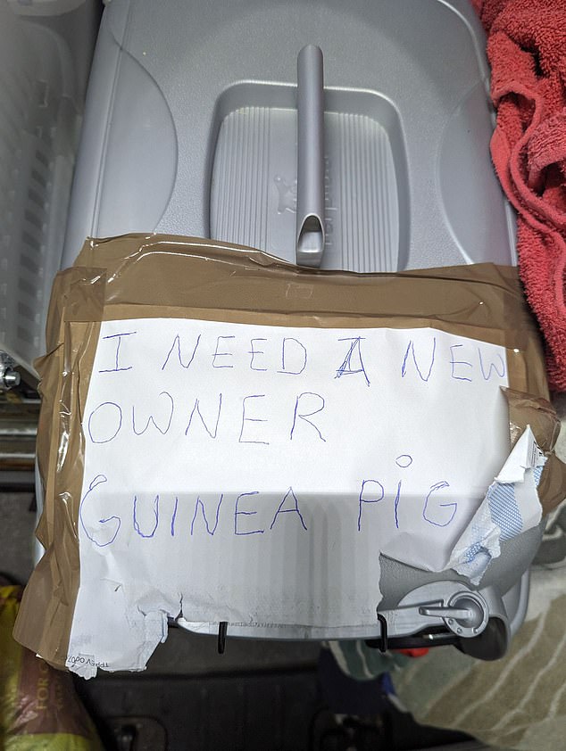 The approximately six-month-old pet left a note saying: 'I need a new owner'