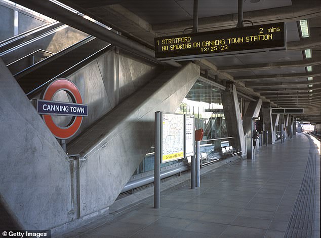 The animal was discovered by station staff in Canning Town, east London, at 4.20pm on February 18