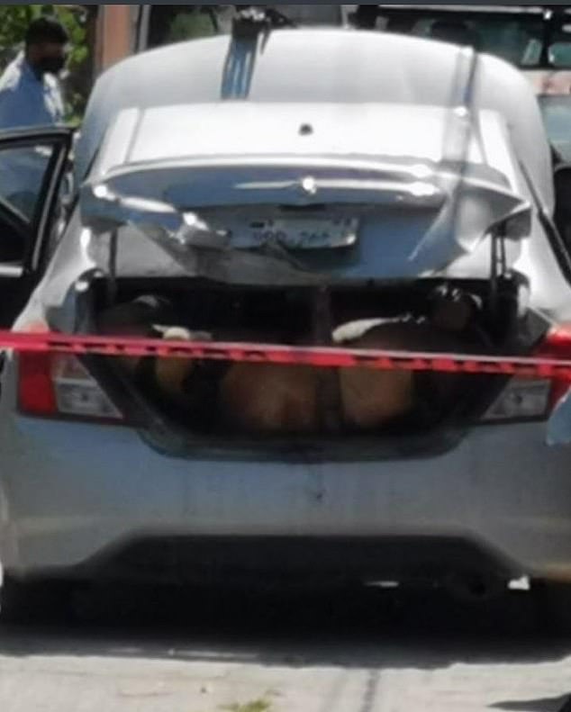 Mexican drug gang Los Tlacos has taken very public revenge on its enemies by dumping four bodies of rival gangsters in the truck of a car outside a campaign office in 2021.