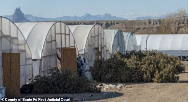 A sprawling illegal marijuana factory in New Mexico was shut down after authorities found a network of 1,100 greenhouses spread over 400 acres