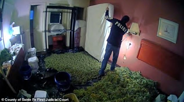 A Travel Inn in Farmington, New Mexico, was used to process the grown marijuana