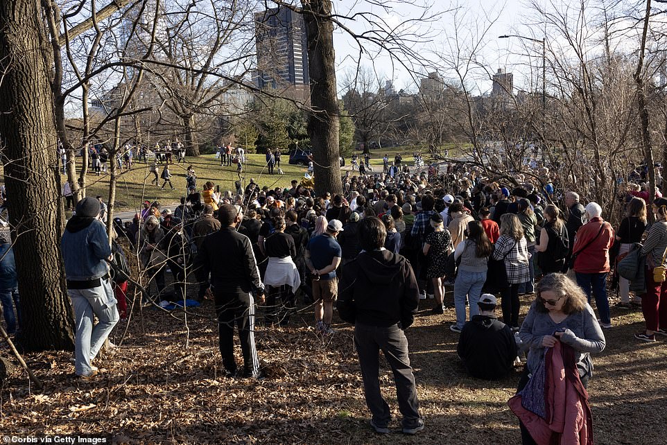 New Yorkers hold a memorial for Flaco, the Eurasian Eagle Owl who died last week, and left cards in his memory under a tree he often rested on