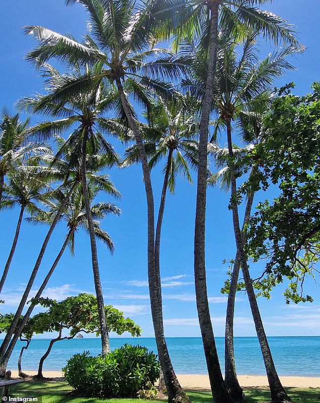 Palm Cove is regarded by locals and visitors as one of tropical North Queensland's most 'glamorous beach villages' thanks to its world-class restaurants, bars and spas