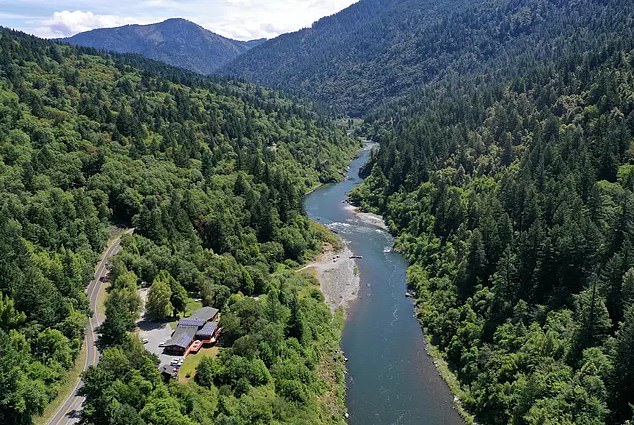 State officials said there is “no indication” the fish deaths were related to water quality in the Klamath River turbidity — the measure of sediment in the water — or dissolved oxygen levels.