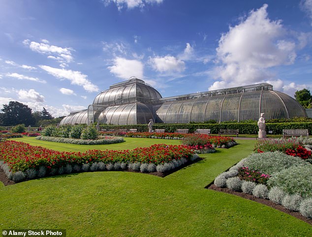 Current research projects include investigating plants as a way to treat inflammation.  The Palm House in Kew Gardens