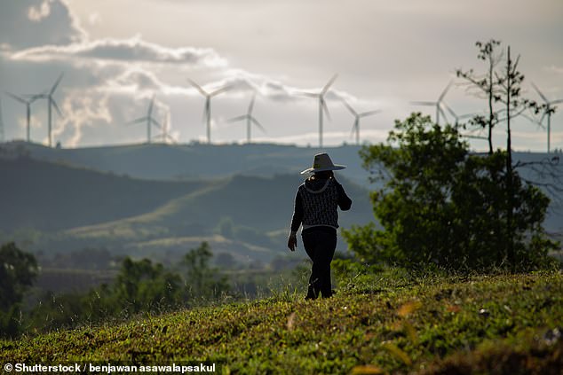 Australia is setting up a $2 billion green energy investment fund for Southeast Asia.  The wind farm system in Khao Kho district, Phetchabun, Thailand is pictured