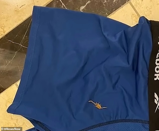 In one of the photos, the venomous creature was attached to Farchi's blue pair of Reebok boxers, confirming his claims about the biting incident.