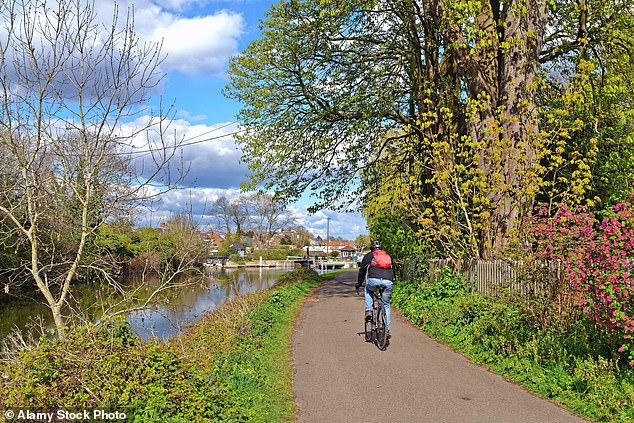 Being physically active was also associated with a lower risk of osteoporosis, possibly because living in areas with green space offers more opportunities for exercise (stock image)