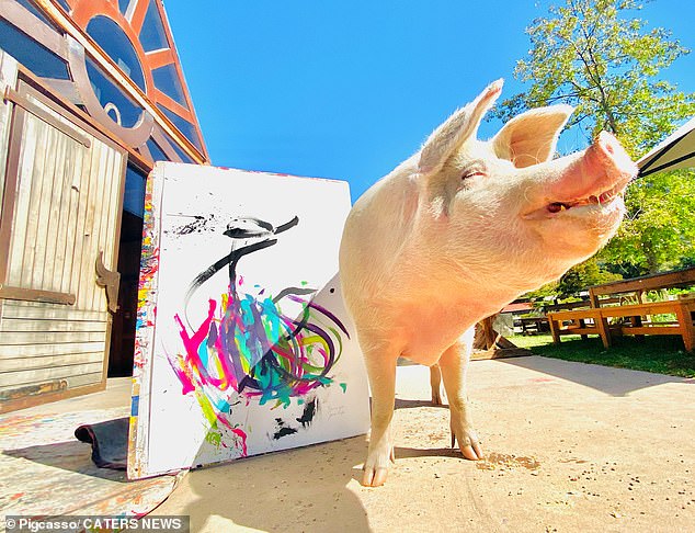 Pigcasso stands proudly next to her work of art.  Lefson said: 'Pigcasso has raised more than $1 million from the sale of her artwork – making her the most successful non-human artist in world history.'