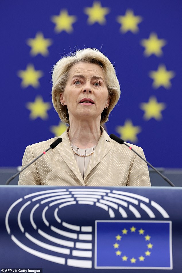 The European People's Party is a key supporter of Von der Leyen, the president of the European Commission - one of the highest positions in the European Union