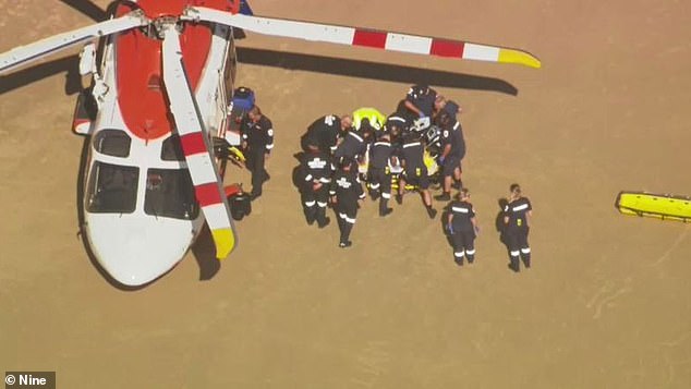 beachgoers and off-duty rescuers from the nearby beach club immediately called emergency services and performed CPR on the shore until police and paramedics arrived