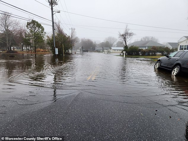 Forecasters say the rain will cause areas of flash flooding and that urban, poor drainage and low-lying areas are most at risk.  Pictured: Flooding in West Ocean City, Maryland, Wednesday