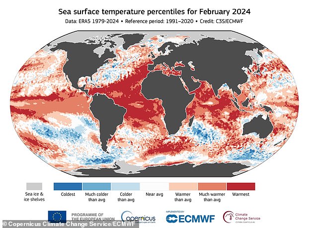 In the photo the sea surface temperature for February 2024. This is a separate measure of how warm the world is