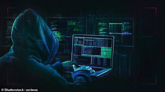 Hackers attacking a DNS would be an effective way to take down a website and cost thousands of dollars per minute, a cybersecurity expert told DailyMail.com