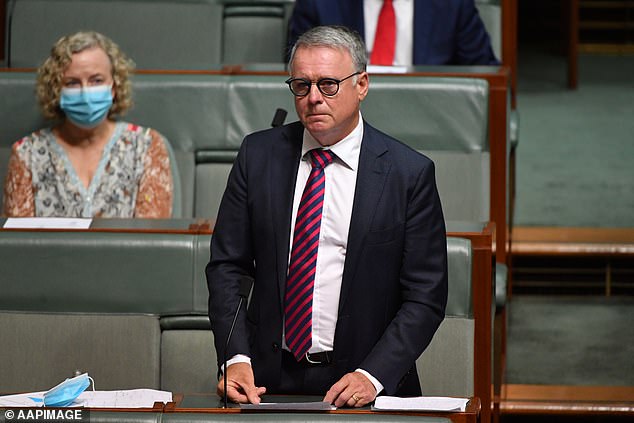 Mr Fitzgibbon (pictured in 2022) was Member of the Hunter Region from 1996 to 2022 and a former Minister of Defense from 2007 to 2009.