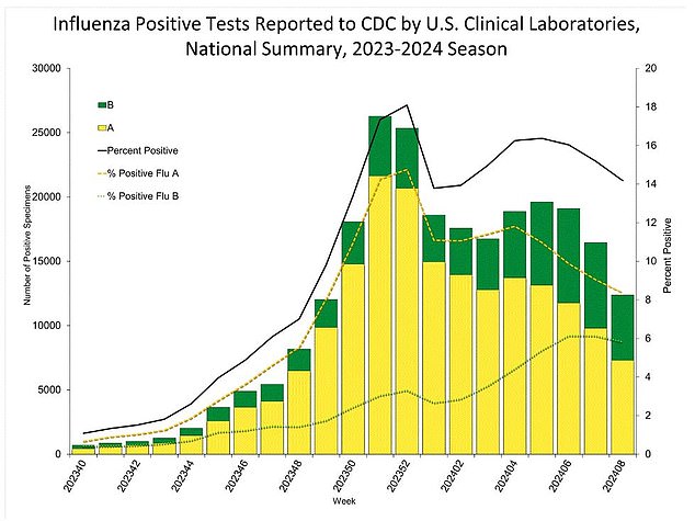 Based on the latest CDC data, which collects information from 3,400 hospitals across the country, just over 14 percent of tests in the U.S. came back positive for flu in the week ending Feb. 24, a slight decline compared to the week before.