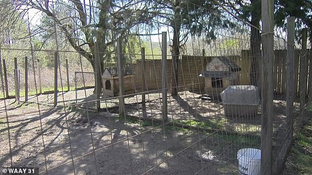 Clark said he ran outside to his yard (pictured) after hearing the boy's father's blood-curdling screams, where he saw the toddler 