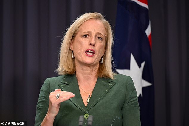 Finance Minister Katy Gallagher (pictured) will announce the reform and strategy at the National Press Club on Thursday