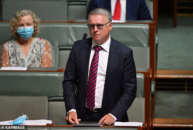 Mr Fitzgibbon (pictured in 2022) was Member of the Hunter Region from 1996 to 2022 and a former Minister of Defense from 2007 to 2009.