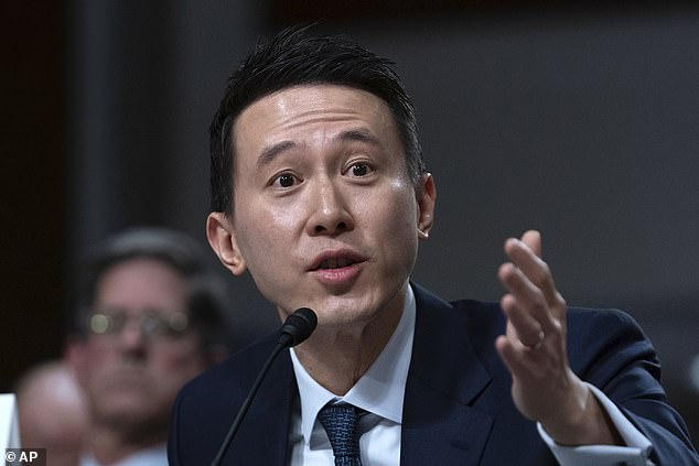 TikTok CEO Shou Zi Chew testified before Congress in January